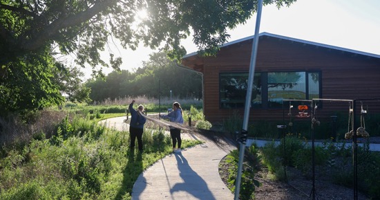 SSRP 3 UNK biology professor Letty Reichart and senior Morgan Holm set up a net at Rowe Sanctuary to capture birds for their research project. (Photo by Erika Pritchard, UNK Communications)
